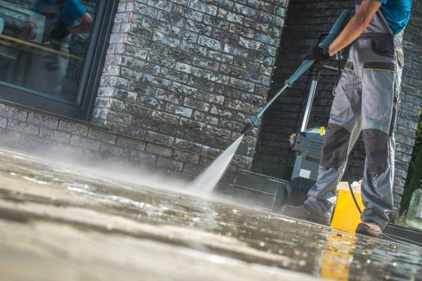 Best Soft Washing  in Pleasant Ridge, MI