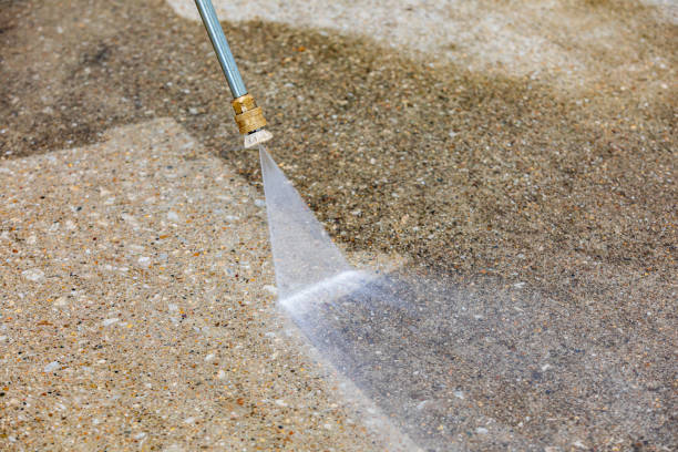 Best Roof Washing  in Pleasant Ridge, MI