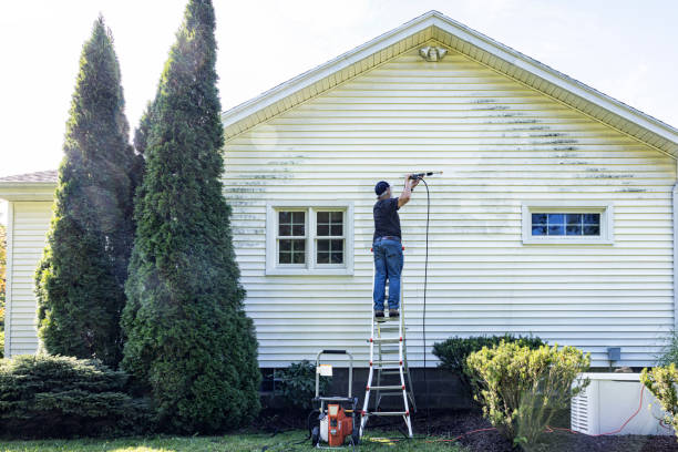 Best Gutter Cleaning  in Pleasant Ridge, MI